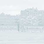 Coney Island im Winter - 16