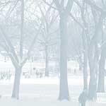 Central Park Winter - 10