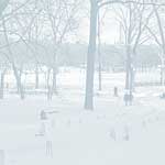 Central Park Winter - 12