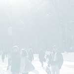 Central Park Winter - 14