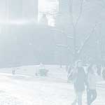 Central Park Winter - 15