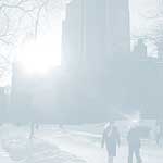 Central Park Winter - 16