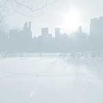 Central Park Winter - 23