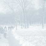 Central Park Winter - 24
