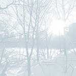 Central Park Winter - 27