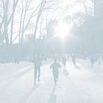 Central Park Winter - 29
