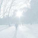 Central Park Winter - 30